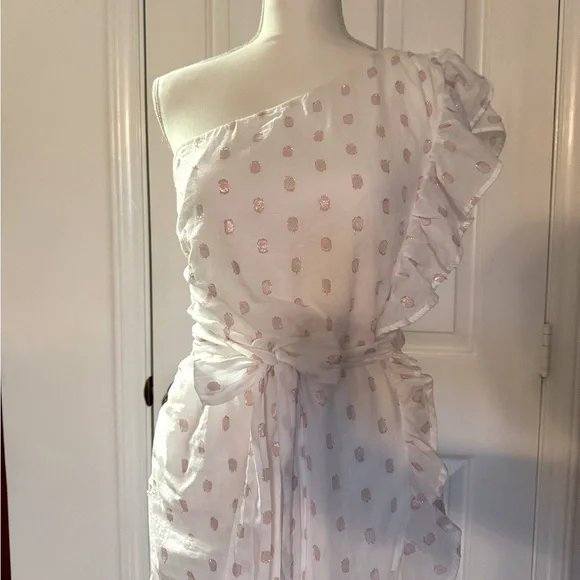 “LOVERS + FRIENDS” X Revolve Whitney Rose Dress - Picture 7 of 16